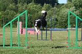 AGILITY - SAUT 107